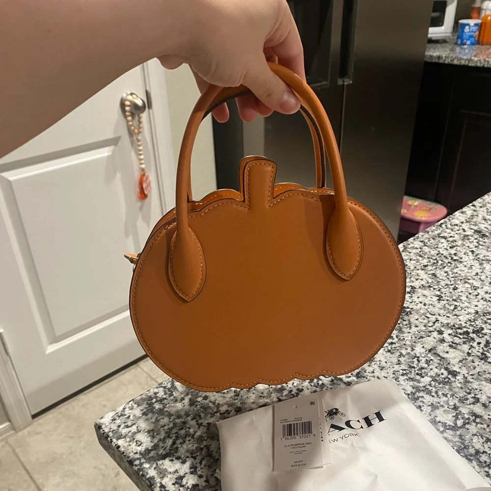 Brand new with tags coach runway pumpkin RARE - Picture 3 of 8
